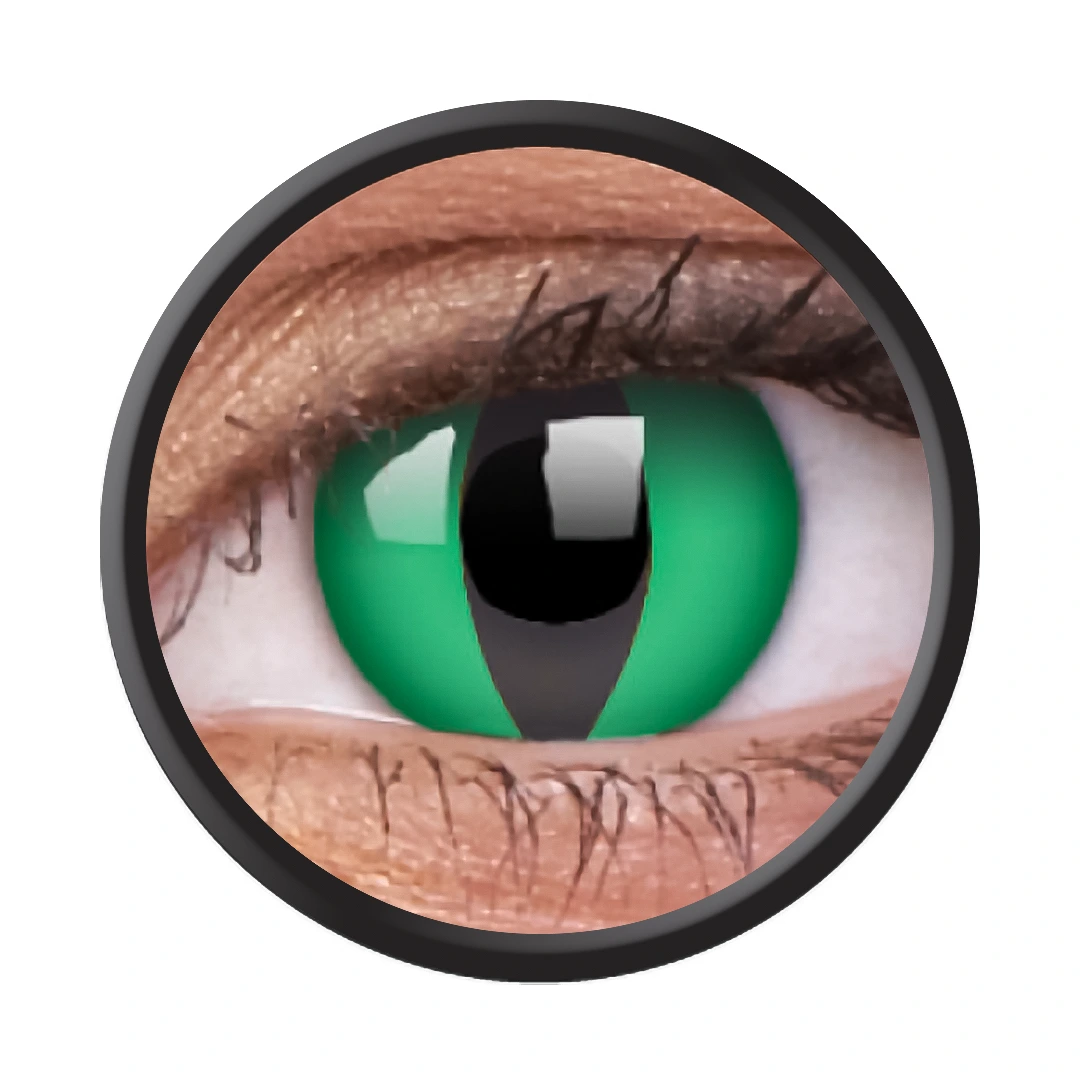 Anaconda (3-Monatslinse) (1x2)